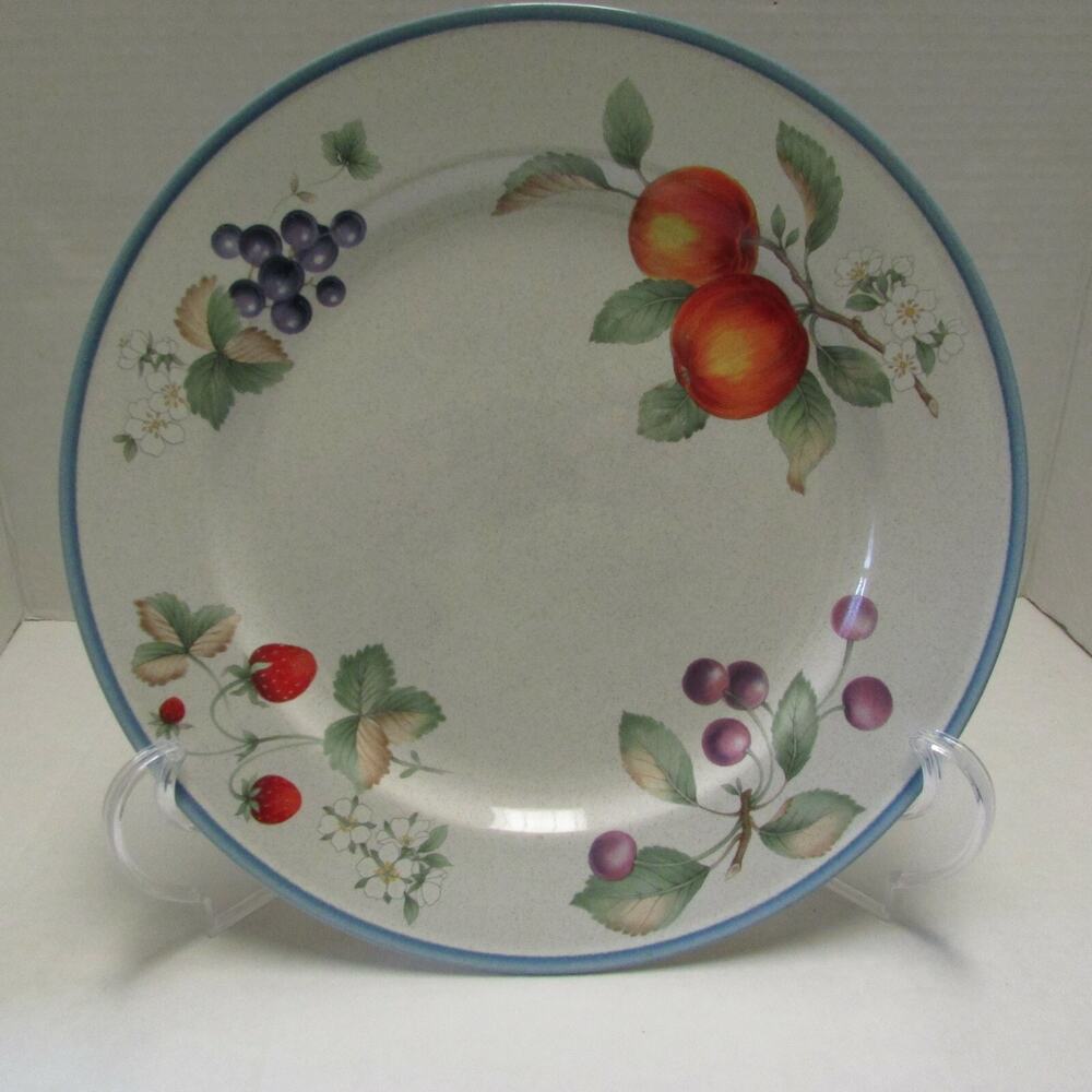 Savior Vivre Luscious Dinner Plate Discontinued Design Fruit Blue Band